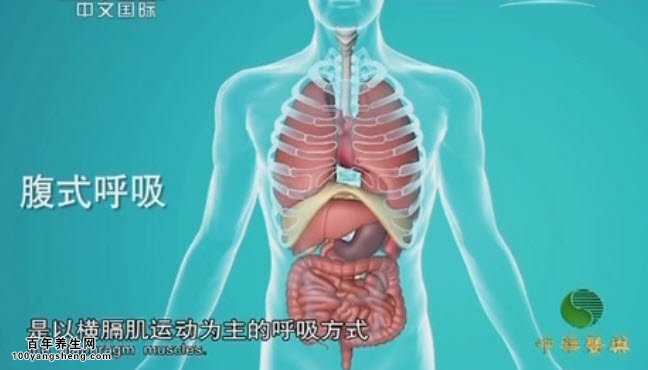 腹式呼吸的方法
