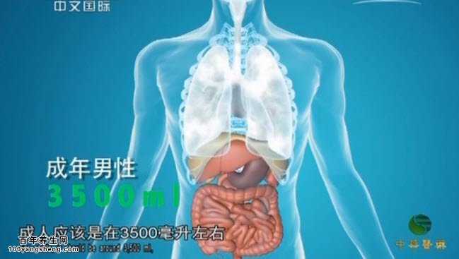 正常成年男性的呼吸量应该有3500毫升