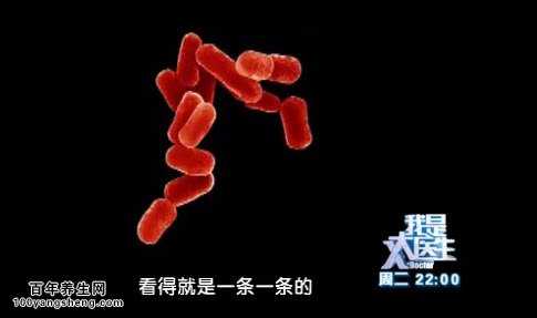 大肠杆菌是导致尿路感染的罪魁祸首