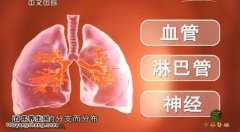 <b>20140910中华医药视频和笔记:李凯,叶兆祥讲肺癌症状,小细胞肺癌</b>