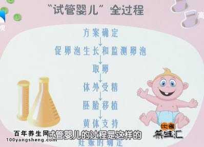 做试管婴儿的全过程