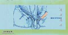 <b>20140922֮·Ƶͱʼ:³ǽʲô,Сı</b>