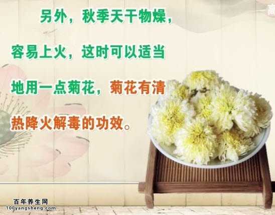 菊花的功效