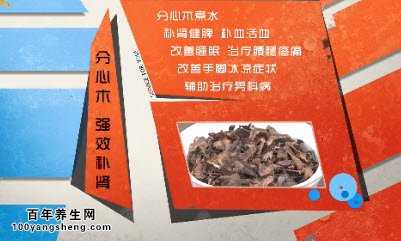 分心木的神奇功效