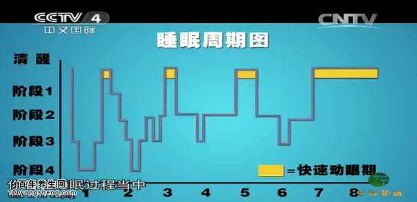 正常人的睡眠周期图