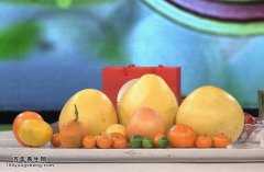 <b>20141225养生堂视频和笔记:冯双庆讲高血脂吃什么好,柑橘类水果</b>