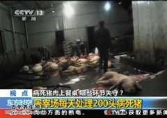 江西病死猪流入7省市,如何辨别病死猪肉与健康猪肉