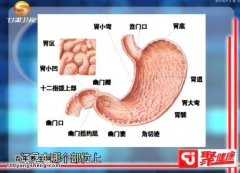 <b>20150106聚健康视频和笔记:程凯讲足阳明胃经,急性胃扩张,刮痧</b>