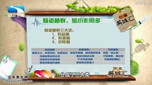 肠道菌群的类型