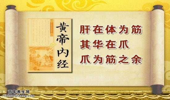 肝在体为筋，爪为筋之余