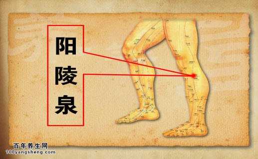 阴陵泉的功效