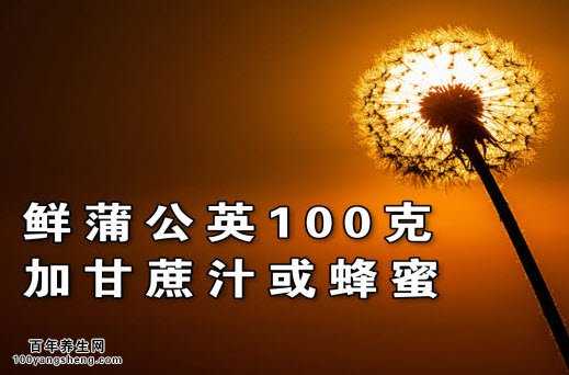 鲜蒲公英的功效
