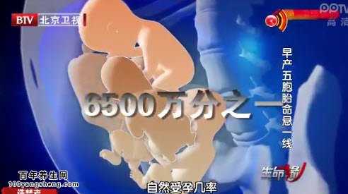 五胞胎