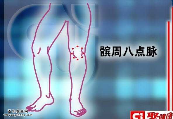 髌周八点脉