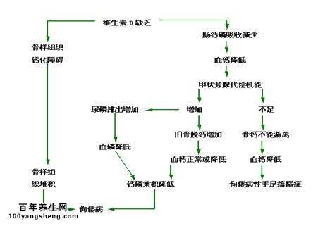 什么是维生素D缺乏性佝偻病?