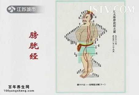 膀胱经循行图