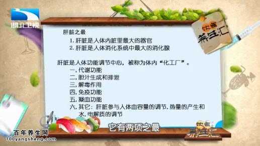 肝脏小常识