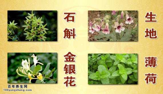 鲜药的种类