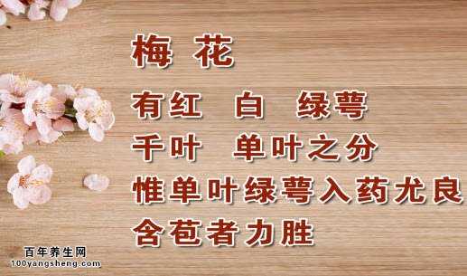 梅花的功效