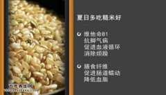 20150513家政女皇视频和笔记:吴大真,糙米的功效与作用,桑葚酒