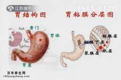 <b>20150524ҵƻƵͱʼ:,θΣ,ݸ˾</b>