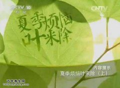 20150704健康之路视频和笔记:孙维锋,荷叶山楂茶,淡竹叶瘦肉煲