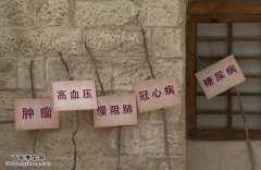 20150826养生堂视频和笔记:刘清泉,什么是冬病夏治,神仙粥的制作