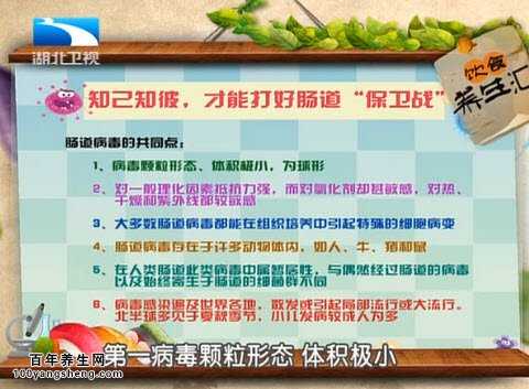肠道病毒的共同点