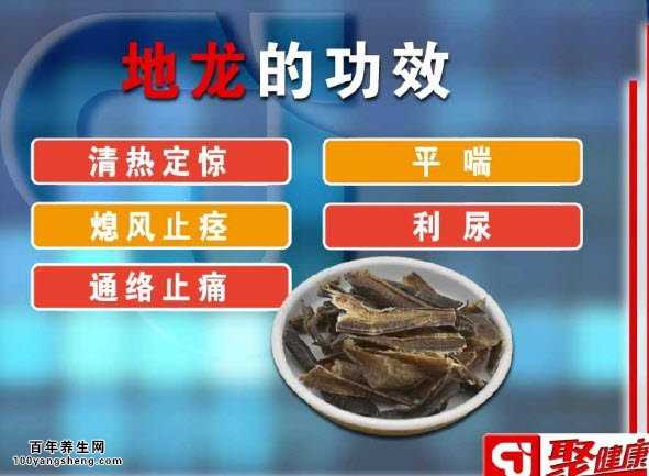 地龙的功效