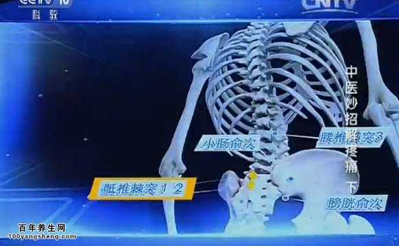 腰痛的结筋点
