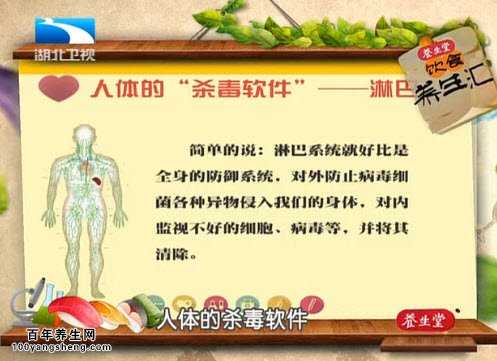 什么是淋巴