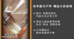 20151027家政女皇视频和笔记:吴大真,秋季腹泻,神经性腹泻,芙蓉菜
