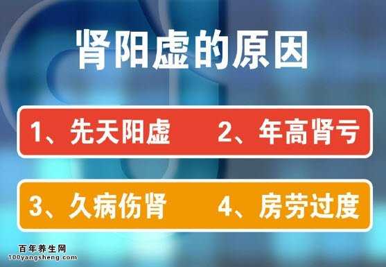 肾阳虚