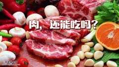 20151124养生堂视频和笔记:顾晋,肉还能吃吗,如何吃肉才健康