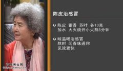 20151201家政女皇视频和笔记:吴大真,陈皮的养生功效,陈皮鲫鱼