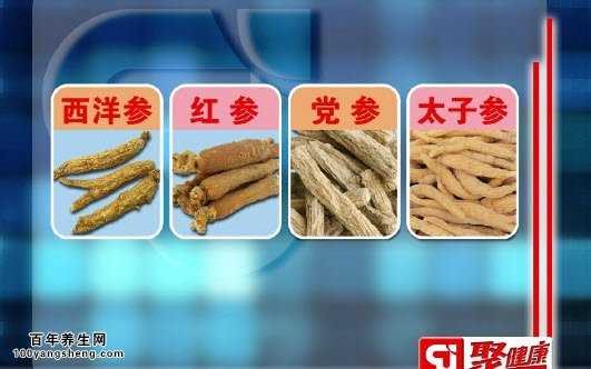 参类家族都该怎么吃