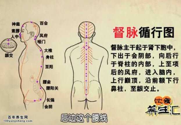 督脉循行图