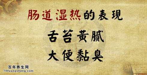 肠道湿热的表现