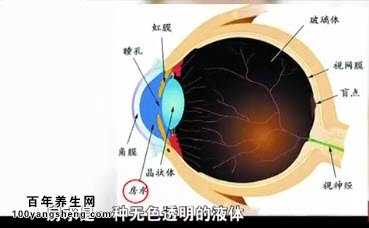 房水