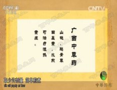 20160302中华医药视频和笔记:覃迅云,刘铜华,瑶医,泡浴,开口水