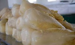 20160307家政女皇视频和笔记:卢晓光,辣白菜,积酸菜,亚硝酸盐