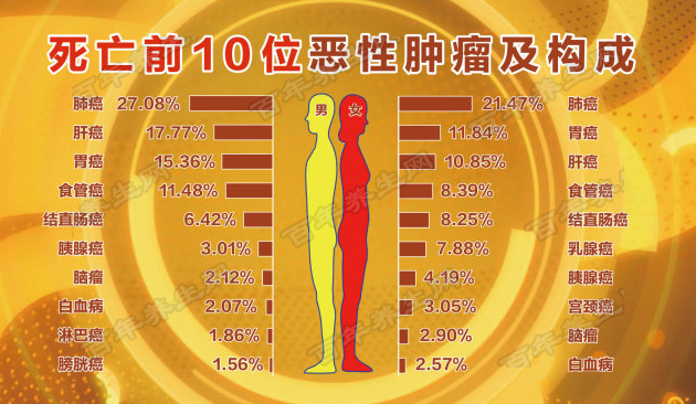 肺癌的发病率和死亡率