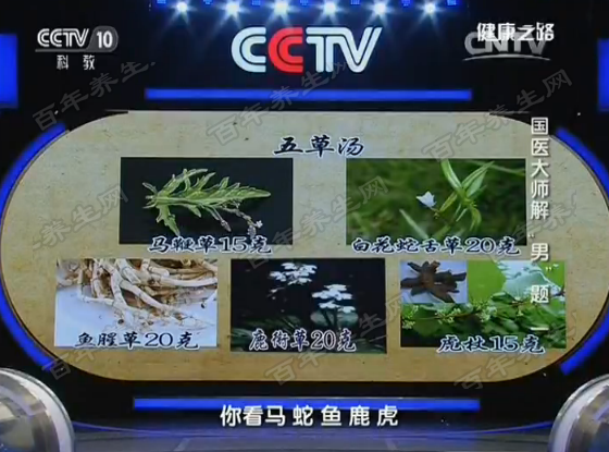 五草汤