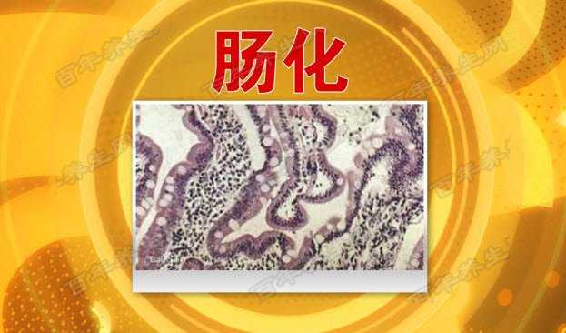 肠化