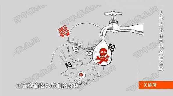 重金属污染的危害