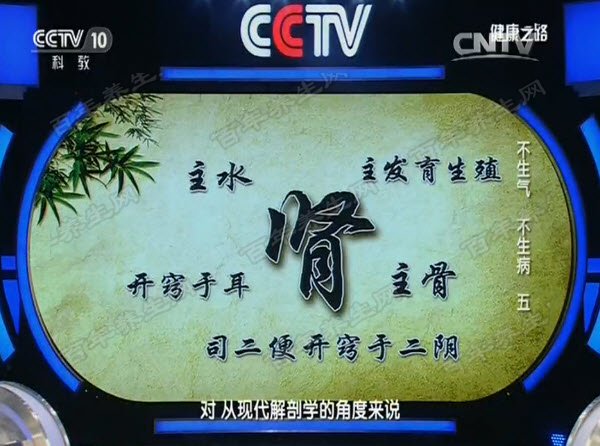 中医认为肾的功能有哪些