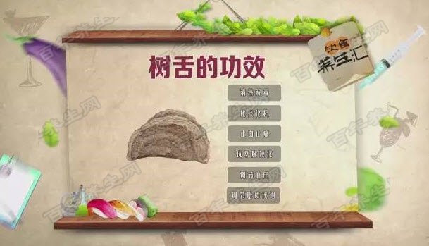 树舌的功效