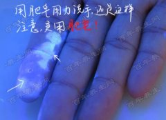 20160727家政女皇视频和笔记:张媛圆,荧光剂,滋味羊肉串的制作