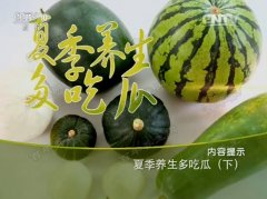 20160730健康之路视频和笔记:张晔,苦瓜,南瓜,冬瓜,橙汁冬瓜球