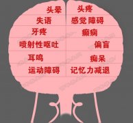 20160802养生堂视频和笔记:徐庚,脑瘤,小中风,头疼,头晕